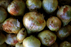 Image of Dulce Onion