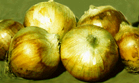Image of Sweetpak Onions